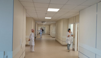 За неделю в Пензенской области выявили около 3700 случаев ОРВИ и гриппа