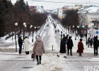 ОСАГО, ипотека и учёт животных. Какие изменения в законах ждут пензенцев в марте