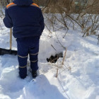 На улице Куйбышева в Пензе собака провалилась в колодец