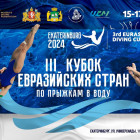 Пензенцы вступили в борьбу за победу на Кубке Евразийских стран по прыжкам в воду