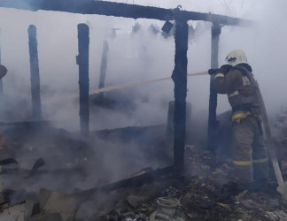 Опубликованы фото с места пожара в селе Александровка Пензенской области