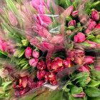 Молодой пензенец нарвался на афериста при покупке цветов для возлюбленной