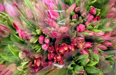 Молодой пензенец нарвался на афериста при покупке цветов для возлюбленной