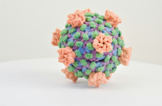В Пензенской области за минувшую неделю выявили 234 случая коронавируса