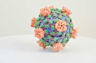 В Пензенской области за минувшую неделю выявили 147 случаев коронавируса