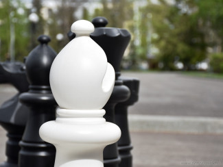 В Пензе у здания городской администрации установили большие шахматы