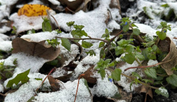 Пензенцам пообещали резкое похолодание, заморозки и снег