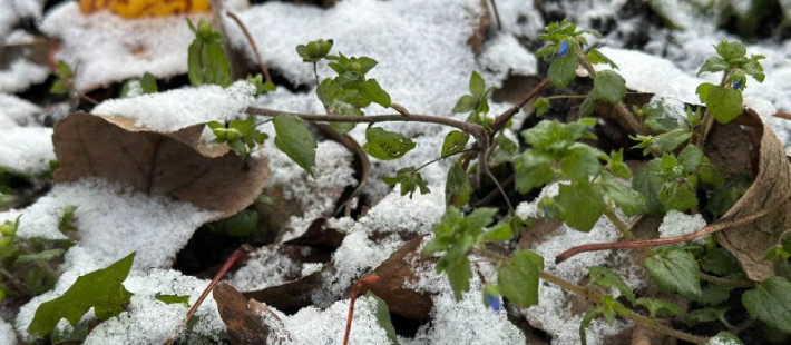 Пензенцам пообещали резкое похолодание, заморозки и снег