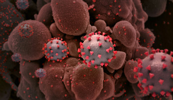 В Пензенской области за минувшую неделю выявили 136 случаев коронавируса