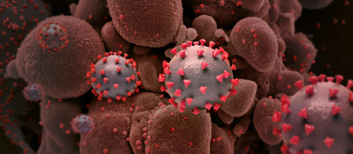 В Пензенской области за минувшую неделю выявили 136 случаев коронавируса