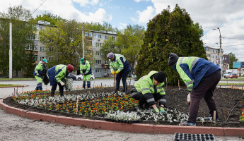 В Пензе начали оформлять цветники возле  монумента воинской и трудовой Славы