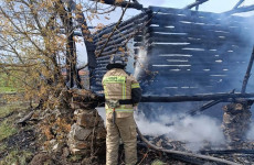Пензенские спасатели помогли потушить пожар в Городище