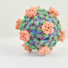 В Пензенской области за минувшую неделю выявили 117 случаев коронавируса