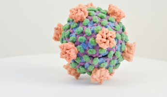 В Пензенской области за минувшую неделю выявили 117 случаев коронавируса