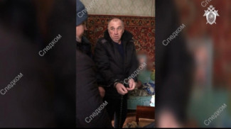 Жителя Пензенской области обвиняют в убийствах пенсионерок в Подмосковье