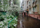 В Пензенской области снова ожидаются заморозки