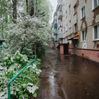 В Пензенской области снова ожидаются заморозки