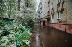 В Пензенской области снова ожидаются заморозки