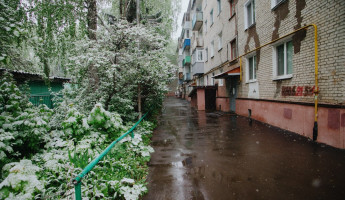 В Пензенской области снова ожидаются заморозки