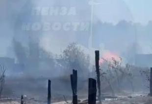 Много дач погорело: очевидцы сообщают о страшном пожаре в СНТ под Пензой