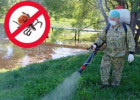 В Пензе закроют Олимпийскую аллею