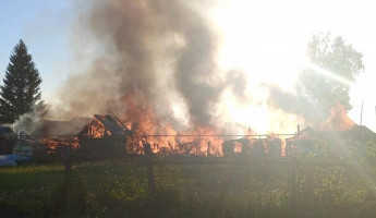Опубликованы фото с места большого пожара в Чаадаевке Пензенской области