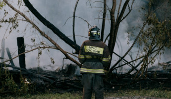 В Пензенской области начал действовать особый противопожарный режим