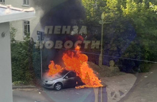 В Пензе дети подожгли тополиный пух, но от него вспыхнул автомобиль