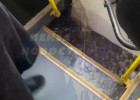 В Пензе во время сильного ливня затопило пассажирский автобус
