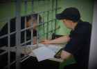 Под Пензой пожилой мужчина выращивал у себя на участке запрещенное растение