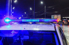 В Пензенской области под колеса BMW попала 4-летняя девочка