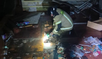 Пензенские спасатели помогли потушить пожар в Чаадаевке