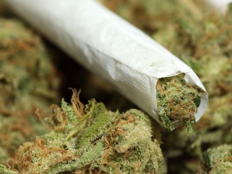 Полицейские обнаружили в салоне авто жителя Пензенской области 16 грамм марихуаны