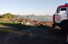 В Пензенской области возле лесного массива загорелся мусор