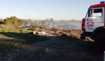 В Пензенской области возле лесного массива загорелся мусор