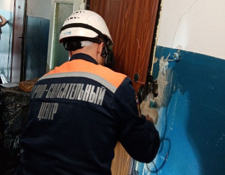 Пензенские спасатели помогли соцработнику попасть в квартиру на улице Ульяновской