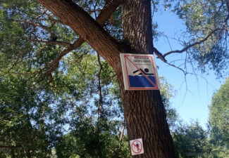 На жителей Пензы составили протоколы за купание в неположенных местах