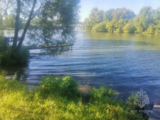 В Пензе 19-летний парень погиб, прыгнув с мостков в реку