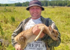 В Пензенской области спасли олененка, запутавшегося в кустарнике