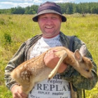 В Пензенской области спасли олененка, запутавшегося в кустарнике