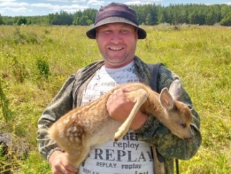 В Пензенской области спасли олененка, запутавшегося в кустарнике