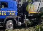 Пензенцы бьют тревогу: на улице Кривозерье начали массовую вырубку деревьев