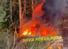 Под Пензой сгорел заживо водитель легковушки – соцсети
