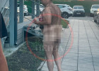 В Пензе голый неадекват с фаллоимитатором ломился в один из детских садов. ФОТО