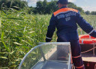 В Пензенской области в зарослях камышей заблудились трое туристов