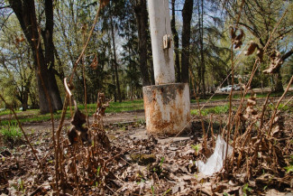 В Колышлейском районе обнаружили тлеющую свалку рядом с кладбищем
