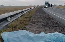 В Пензенской области под колесами фуры погиб мужчина