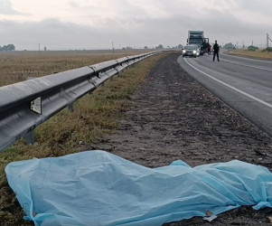 В Пензенской области под колесами фуры погиб мужчина
