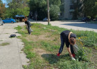 В Пензе с улиц Железнодорожного района вывезли 116 кубометров мусора