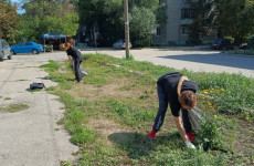 В Пензе с улиц Железнодорожного района вывезли 116 кубометров мусора